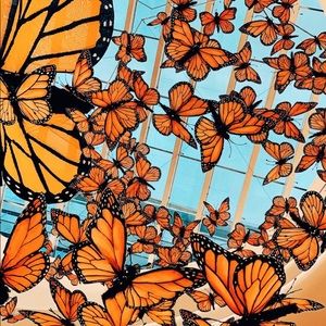 Meet your Posher, Alaina